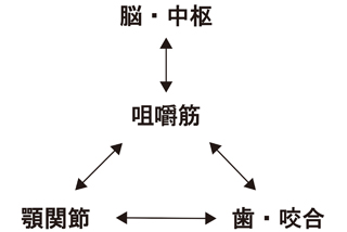 総入れ歯 噛み合わせ