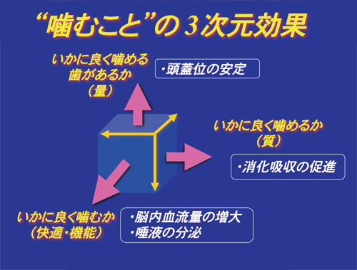 総入れ歯 噛み合わせのデザイニング